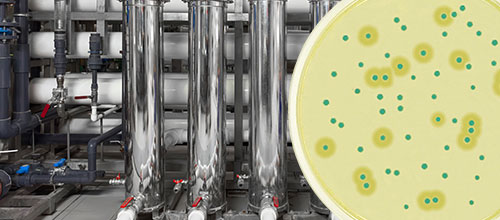 Rapid Microbial Methods for Pharmaceutical Water Systems - Live Online Training